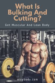Pin On Wirybody Com Fitness Tips Gym And Home Workout Equipment