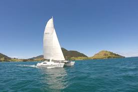 More images for barefoot sailing adventures » Barefoot Sailing Adventures Paihia Aktuelle 2021 Lohnt Es Sich Mit Fotos