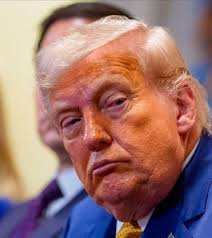 Many people come up to me