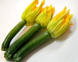 花 ズッキーニ
