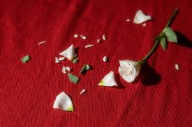 朝花夕拾 浮世清欢 人像 poco摄影 追光 christmas ornaments holiday decor novelty christmas