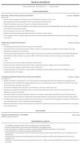 Operational Risk Management Resume Sample Mintresume