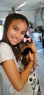 Welcome to our home and hearts little fluffy cutie! Keri is 9 weeks old  adorable lady to join our family life from now