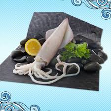 Kalamar Loligo Chinensis Dondurulmus Deniz Urunleri Ithalat Ve Ihracatcisi Olarak Restaurant Ve Balikcilar Icin Toptan Deniz U Karides Deniz Urunleri Ahtapot