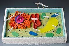 Homework Helper How To Build A 3 D Plant Cell Model Plant Cell Project Cells Project Animal Cell Project
