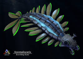 Anomalocaris had a cosmopolitan distribution in cambrian seas, and has been found from early to anomalocaris — canadensis aus dem mittelkambrischen burgess schiefer zeitraum frühes und. Camila Alonso Anomalocaris