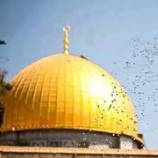 إصابة مدير أخبار الشرق الأوسط بوكالة الأناضول خلال اقتحام الأقصى. Ø£Ø®Ø¨Ø§Ø± Ø§Ù„Ù‚Ø¯Ø³ Ø§Ù„Ø¢Ù† Ù…Ø¨Ø§Ø´Ø± Home Facebook