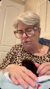 "What greater gift than the love of a cat.", ., ., #cloverthekitten,  #blackcat #blackcatsclub , #ilovekittens #kittenfoster #fosterkitten  #fostercat #blackcats #ilovecats #kitten #kittens #cat ...