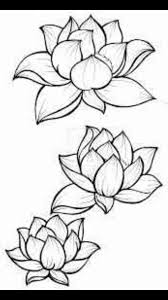 Lotus Flower Outline Lotus Blossom Tattoos Flower Drawing Flower Sketches