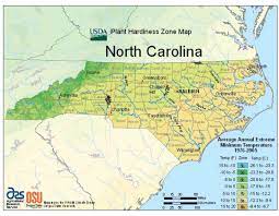 We did not find results for: North Carolina Vegetable Planting Calendar