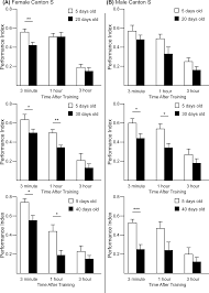 Days to hours conversion examples. Plos One Brain Transcriptome Changes In The Aging Drosophila Melanogaster Accompany Olfactory Memory Performance Deficits