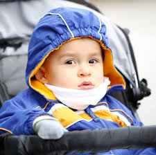 Cold, but no snow in Gainesville