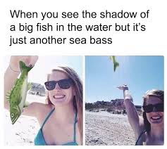 Acnh Meme Animal Crossing Funny Animal Crossing Memes Animal Crossing