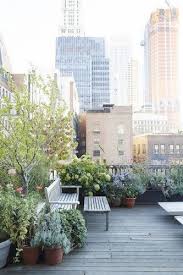 Urban Garden Ideas And Inspiration For City Apartments Urban Garden Rooftop Garden Roof Garden