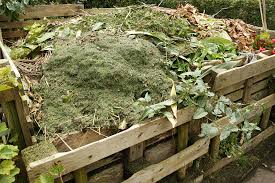 What should you add to compost? Start Composting Bridging The Gap