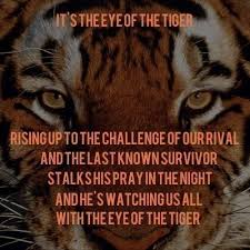 Eye Of The Tiger Survivor You Know When You Re Workin Out And Hear This Song You Instantly Turn Into A Bad Tiger Quotes Inspirational Songs Eyes Quotes Soul