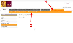 Jak złożyć wniosek rodzina 500+ za pośrednictwem inteligo? Olsztynska Duza Rodzina Rodzina 500 Plus W Pigulce