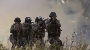 Nur wenn dies der fall ist und du bereits als. Einsatzubung Der Wiener Polizei Mit Den Spezialeinheiten Cobra Und Wega Youtube