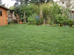 Rasenpflege Im Fruhling Tipps Zum Vertikutieren Dungen Und Mahen Rasenpflege Rasen Rasenpflege Im Fruhjahr