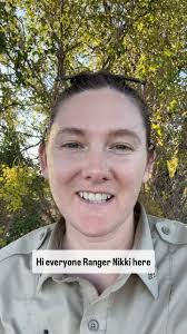 Trail Cam Tuesday! In this week's Trail Cam Tuesday post, our trail cam  captured video of a Turkey vulture sunning it's wings! Turkey vultures are  one of two species of vultures at