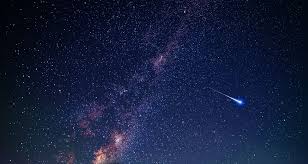 Seven Penn Manor students named to District, County Chorus