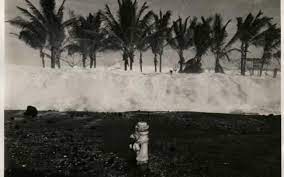 The shock had the wave reached kauai, hawaii 4.5 hours after the quake, and hilo, hawaii 4.9 hours later. 1946 Tsunami Survivor Shares Her Story Geophysical Institute