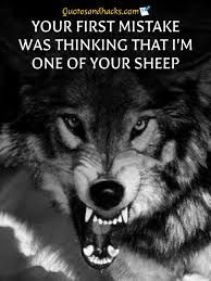 30 Lone Wolf Quotes That Will Trigger Your Mind Quotes And Hacks