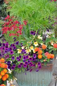 The Summer S Prettiest Container Plantings Container Plants Potted Plants Outdoor Plants