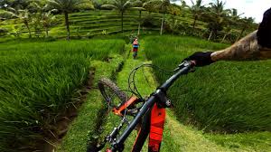 Community events for sale gigs housing jobs resumes services. Gopro Mtb Across Indonesia Tripon Youtube
