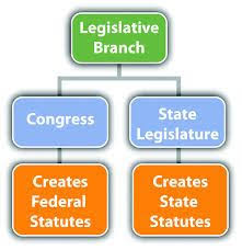 63 Best American Government Legislative Branch Images
