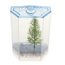 See more ideas about betta fish tank, fish tank, betta fish. Clear Plastic Mini Fish Tank Aquarium Aquarium Mini Betta Fish Tank 1 Buy From 13 On Joom E Commerce Platform