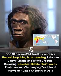 Leon Dash A molar in Laos, a jawbone