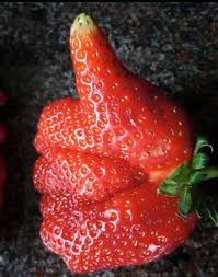 Grüne smoothies sind im trend, und vor allem reich an nährwerten und vitaminen. Lustiges Obst Und Gemuse Lustig Fruchte Obst Und Gemuse Obst