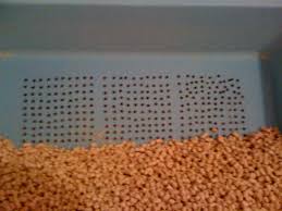 Make a grass lounge for your indoor cat with a cement mixing pan and a sheet of sod from your local ♥ diy cat stuff ♥ oh, litter box problems! How To Build A Feline Pine Self Cleaning Litter Box 4 Steps Instructables