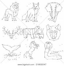 Check spelling or type a new query. Collection Hand Draw Vector Photo Free Trial Bigstock