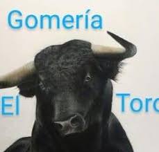 Gomería El Toro