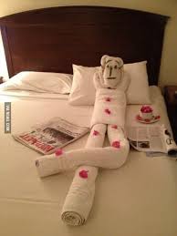 Every Evening I Head Back To The Hotel Room I Find A New Sculpture Towel Animals How To Fold Towels Fun Towels