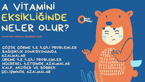 yavru kedi ve kopeklerde a vitamini eksikliginde ne olur yavru kediler kedi kopek