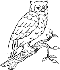 Find all the coloring pages you want organized by topic and lots of other kids crafts and kids activities at allkidsnetwork.com. Owls To Color For Children Owls Kids Coloring Pages