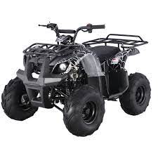 Automotive & parts, home & kitchen supplies 125cc Atv Taotao 125d Kids Atv