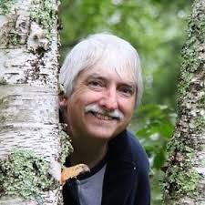 Amazon.com: Albert Taylor: books, biography, latest update