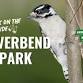 Riverbend Park