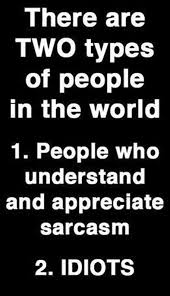 There Are Two Types Of People In This World Avoid Both There Are Two Types Of People In The World 1 People Who Understand And Appreciate Sarcasm 2 Idiots Funny Mean Quotes Funny Quotes Funny Quotes Sarcasm