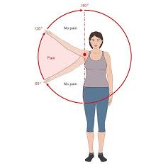 Image result for Shoulder Pain