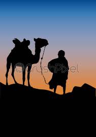 A group of camel in sunset at desert , father, mother and son and birds making heart in the sky. Caravan In The Desert Sunset Background Vector Poster Camel And Stock Photo Crushpixel