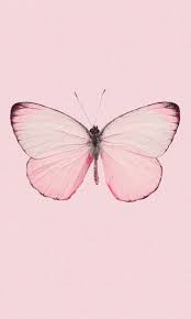 Pin By Wom Weyes On Wallpapers Butterfly Wallpaper Pink Wallpaper Backgrounds Aesthetic Iphone Wallpaper