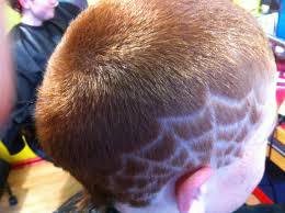 Pin On Be Dazzled Hairstyling