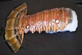 Epingle Sur Crustaces