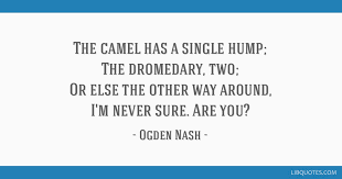 In the beginning of years, when the world was so new and all, and the animals were just beginning to work for man, there was a camel. The Camel Has A Single Hump The Dromedary Two Or Else The Other Way Around I
