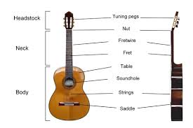 On acoustic guitars the pickup can be in several places. Parts Of An Acoustic Guitar All You Need To Know 1 Diagram